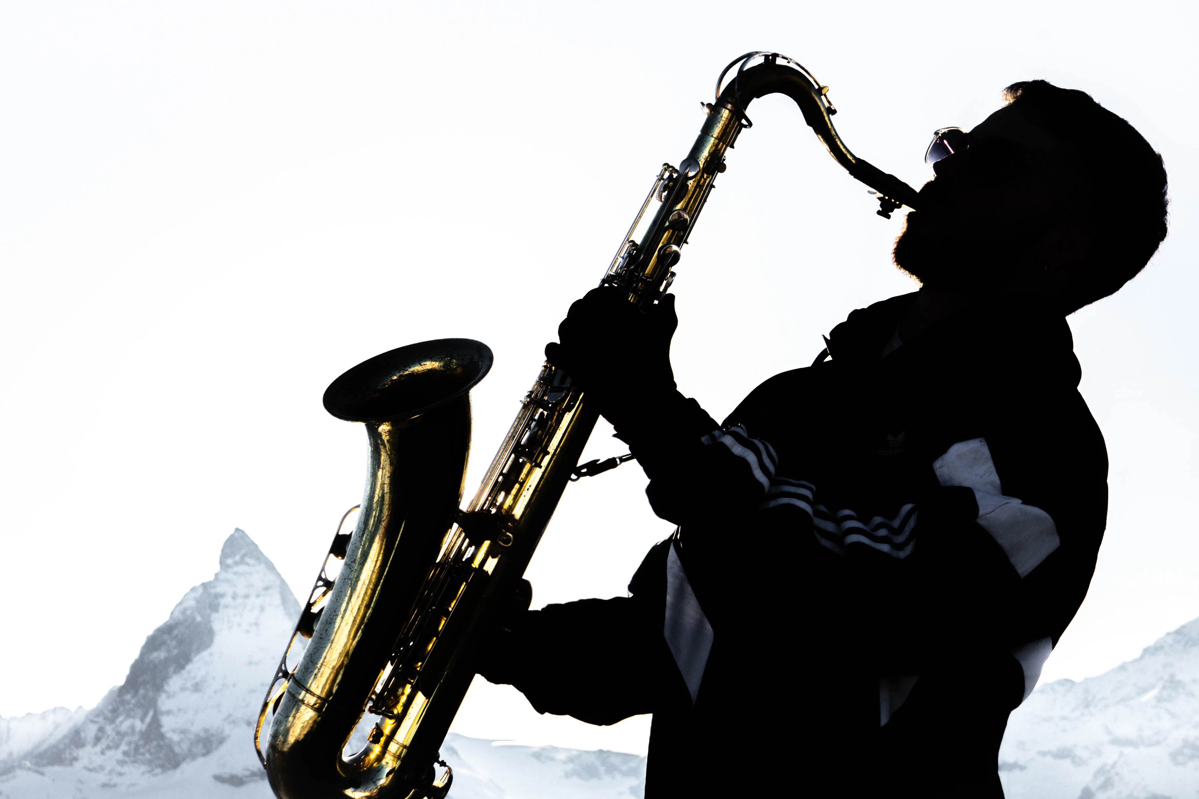 Manu SAX — image 4