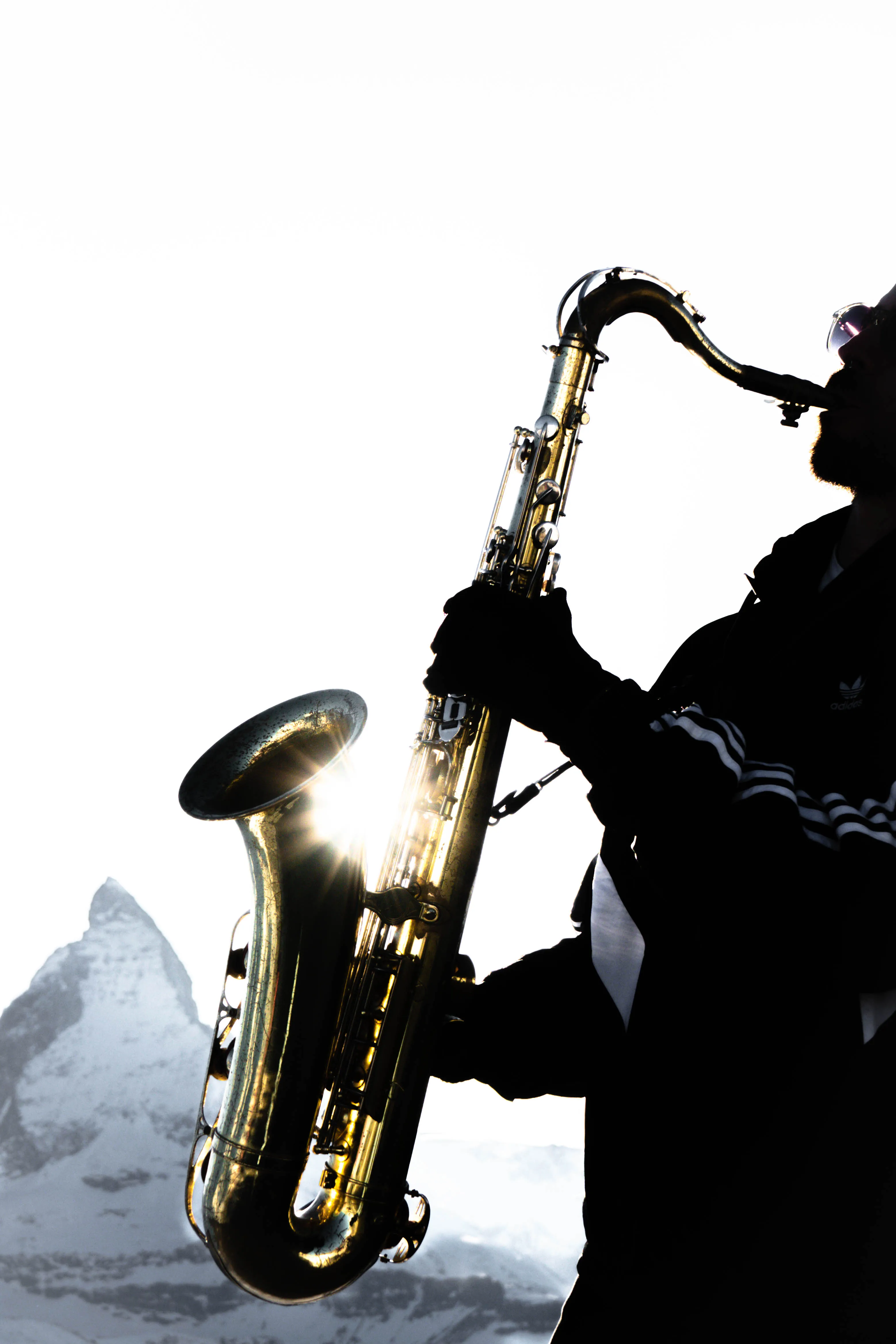 Manu SAX — image 5